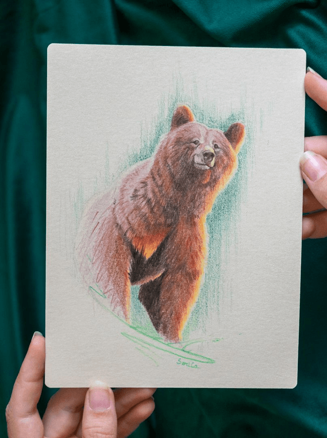 Sorita - Crayon de couleur -  15x20 cm