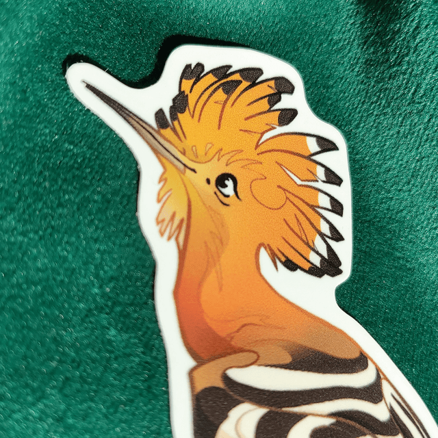 Sticker - Huppe Fasciée