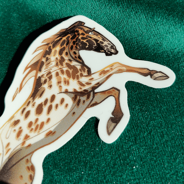 Sticker - Jument Appaloosa