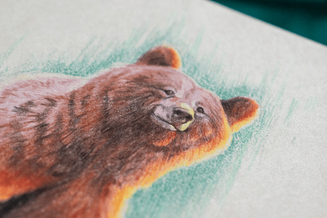 Sorita - Crayon de couleur -  15x20 cm