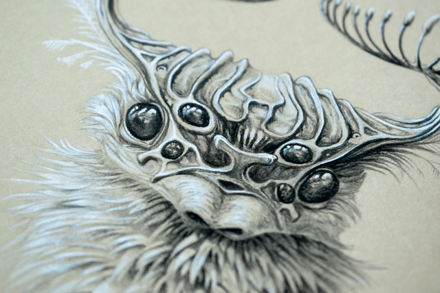 Araknet - Crayon noir et blanc - 15x20 cm