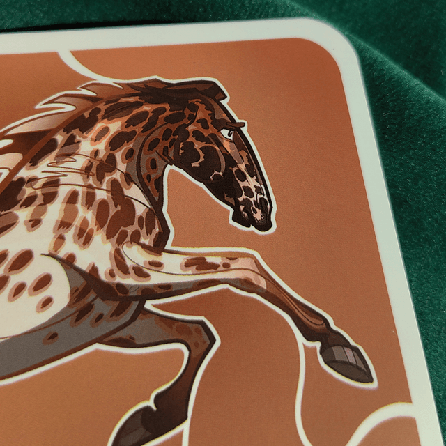 A6 - Le libre Appaloosa