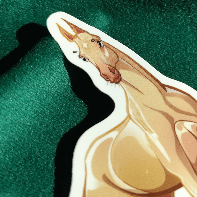 Sticker - Cheval Akal Teke